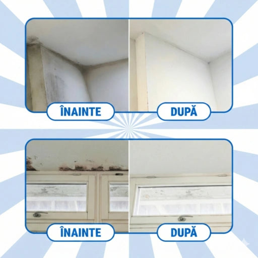MucegaiX® - SCOATE ȘI PREVINE MUCEGAIUL 750ML