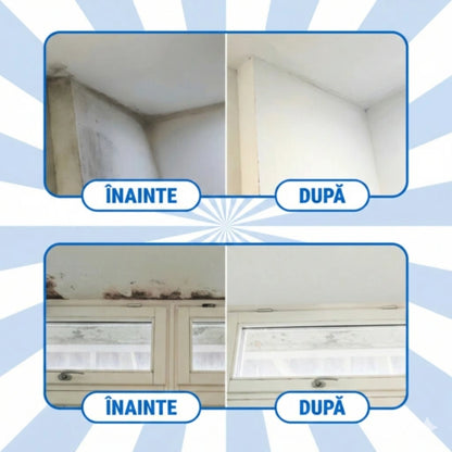 MucegaiX® - SCOATE ȘI PREVINE MUCEGAIUL 750ML